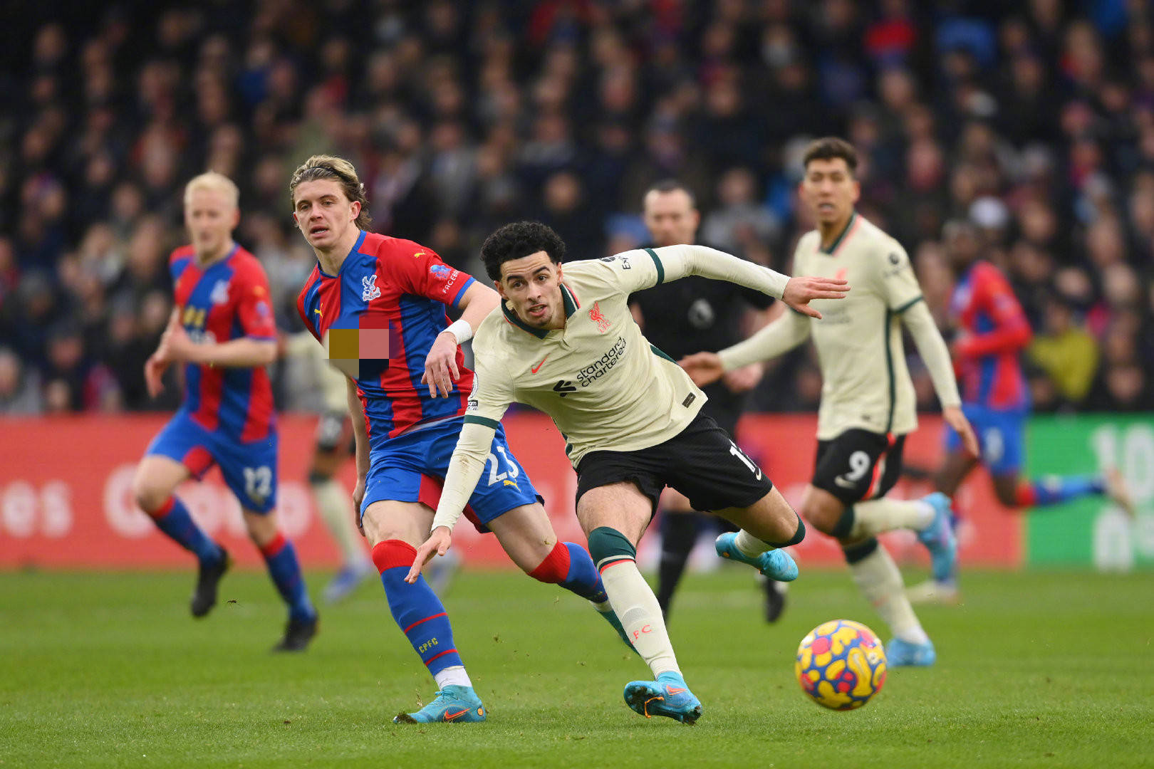 中职明星赛吸引大批球迷